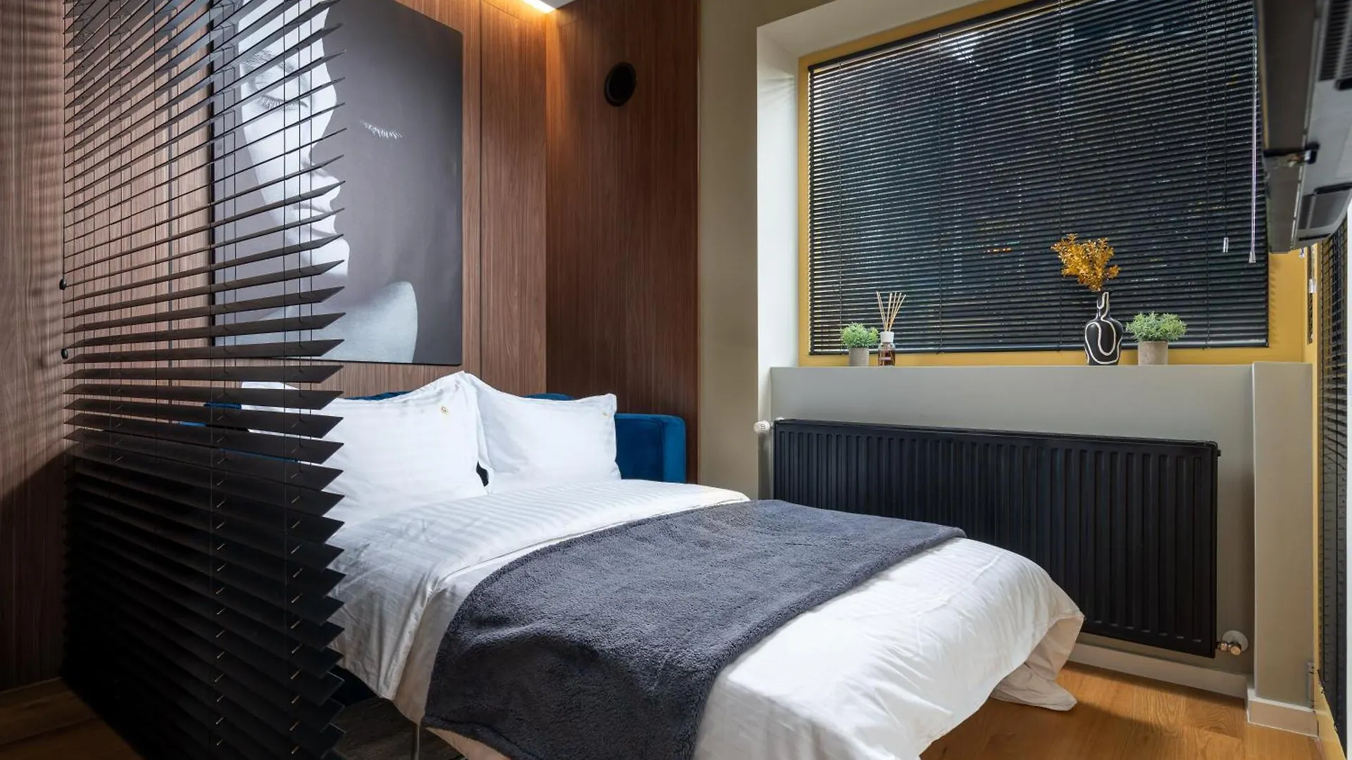 Daire Retro La Studio - Aviatiei Park - Parking - Netflix - Private Garden Bükreş